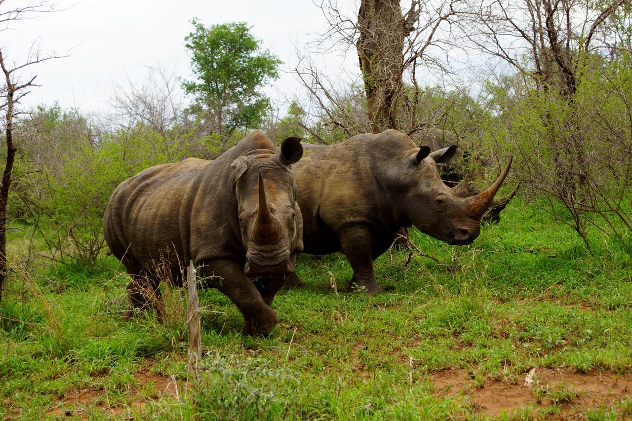 Marloth Park Hippo House Villa Exterior photo